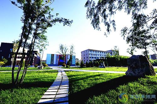 為什么高職單招文化、面試和志愿填報(bào)三個(gè)方面都很重要？